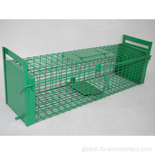 Small Animal Trap Cage Metal Wire Mesh Catch Mouse Rat Trap Cage Manufactory